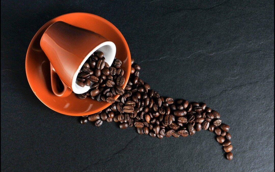 Quel est le café le plus cher au monde ?