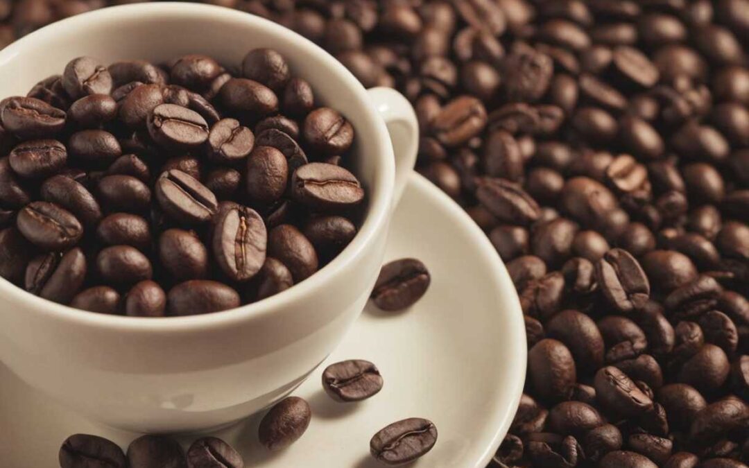 Comment choisir un café en grain écologique et économique pour un petit déjeuner durable